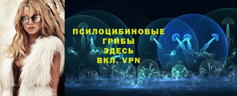 магазин продажи наркотиков  дарк нет клад  Псилоцибиновые грибы Cubensis  Горячий Ключ 